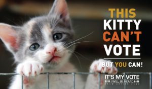 Kitty behind a fence. Shareable words say Kitty Can't Vote But You Can. It's My Vote: I Will Be Heard. #itsmyvote